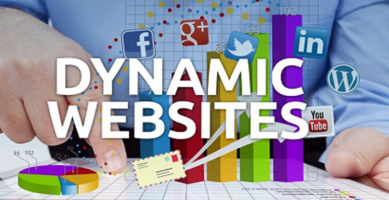 Best Dynamic Website Designing Company in Gurugram